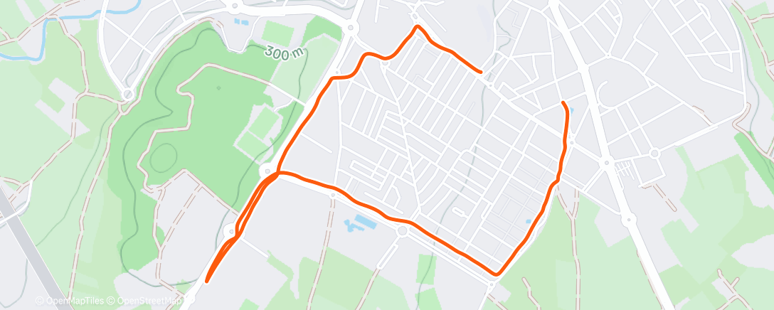 Карта физической активности (Carrera de mañana)