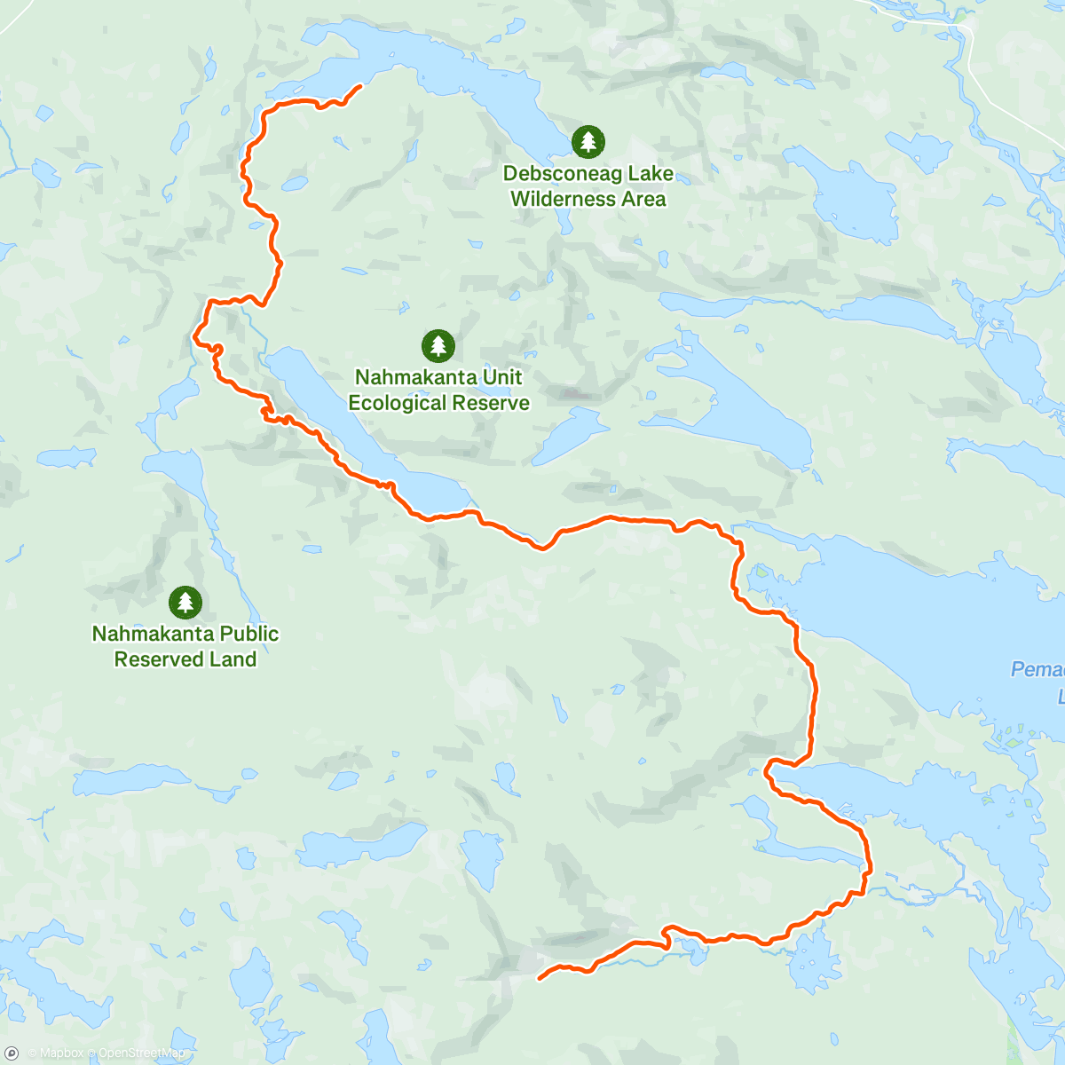 Map of the activity, Feeding the mosquitos again