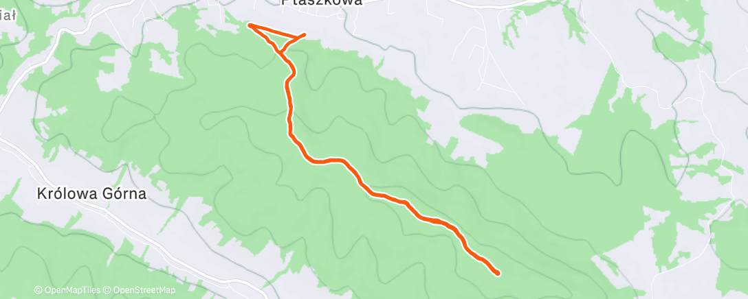 Map of the activity, Afternoon Trail Run