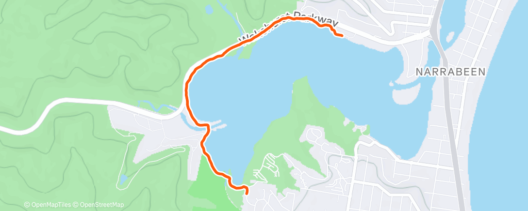 Карта физической активности (Afternoon Run)