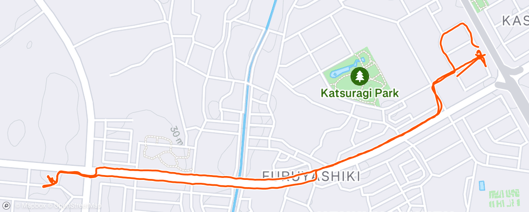 Map of the activity, 夜のランニング