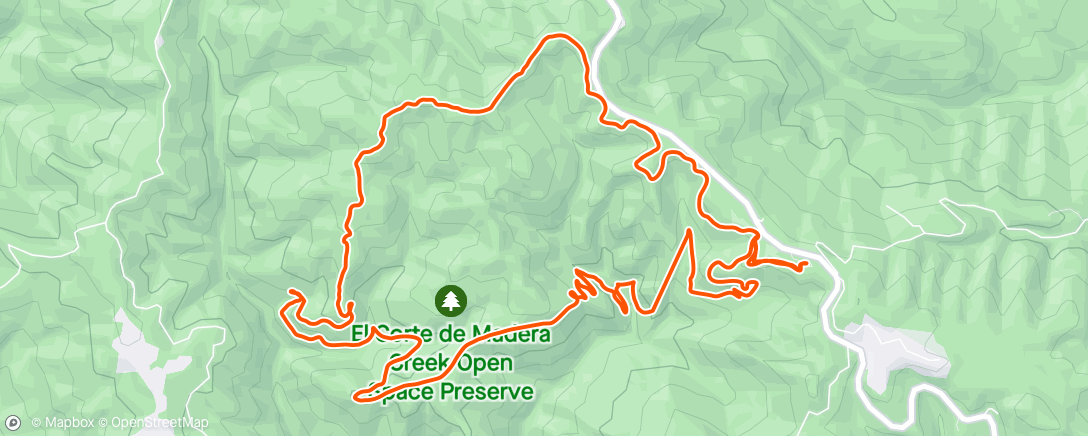 Map of the activity, Never climb Fir Trail