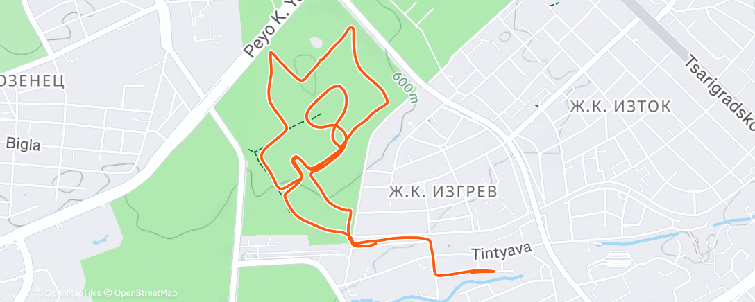 Map of the activity, Morning Run