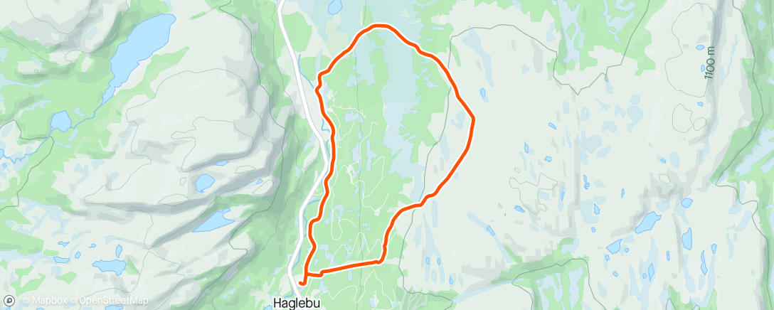Carte de l'activité Afternoon Nordic Ski