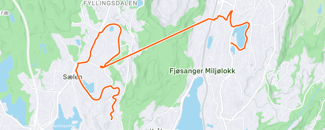 Карта физической активности (Night Run)