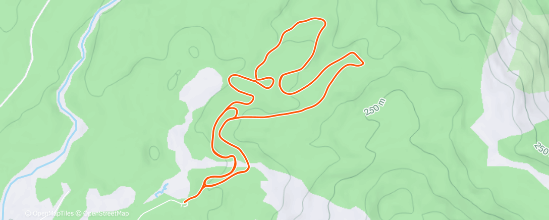 Карта физической активности (Lunch Nordic Ski)