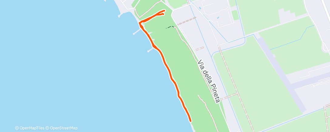 Карта физической активности (Morning Run)