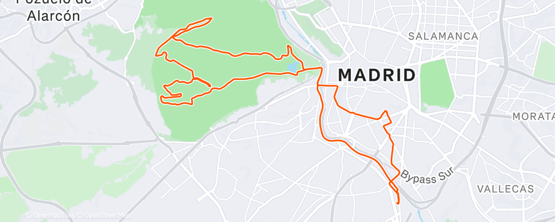 Map of the activity, Bicheando por la CDC