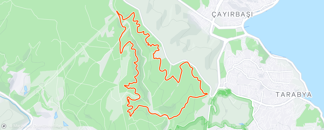 Карта физической активности (Morning Trail Run)