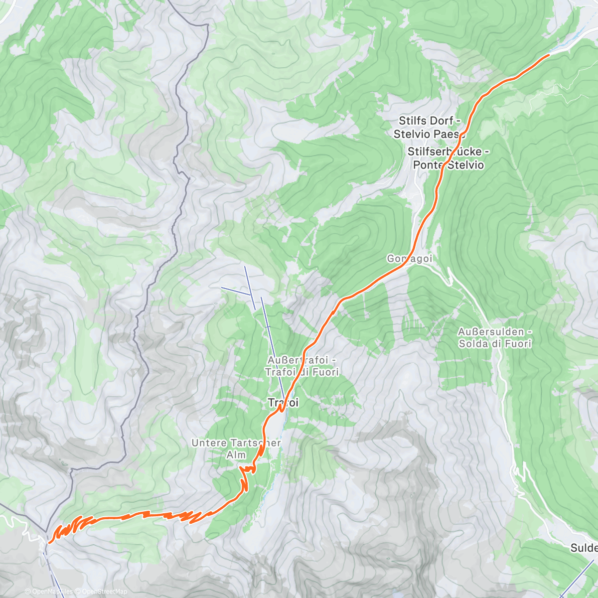 Map of the activity, Passo dello Stelvio Downhill | IT