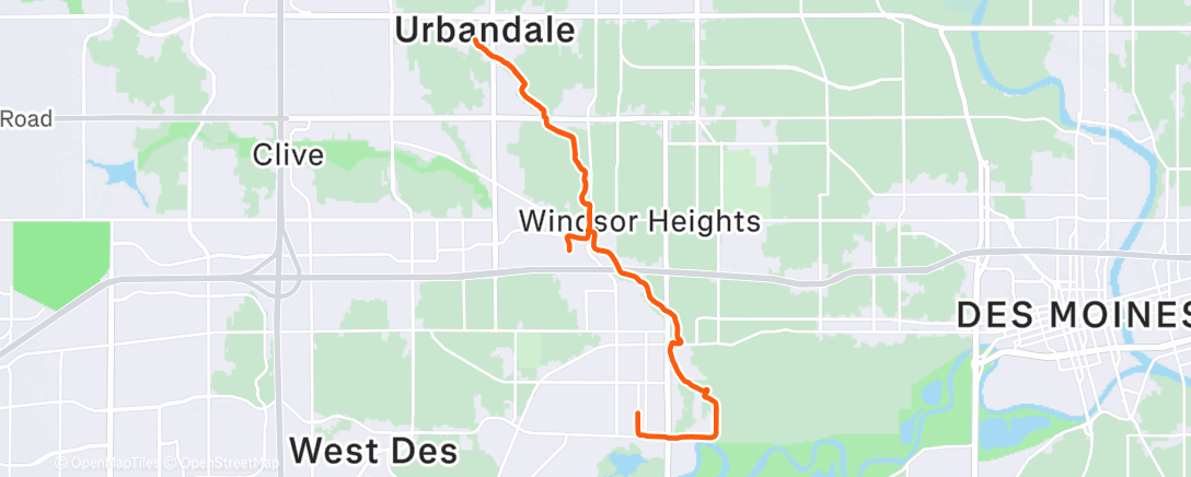 Map of the activity, Alumni run to coffee cats☕️🐱