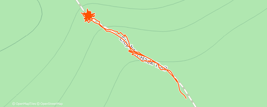 Map of the activity, Elephant Tree