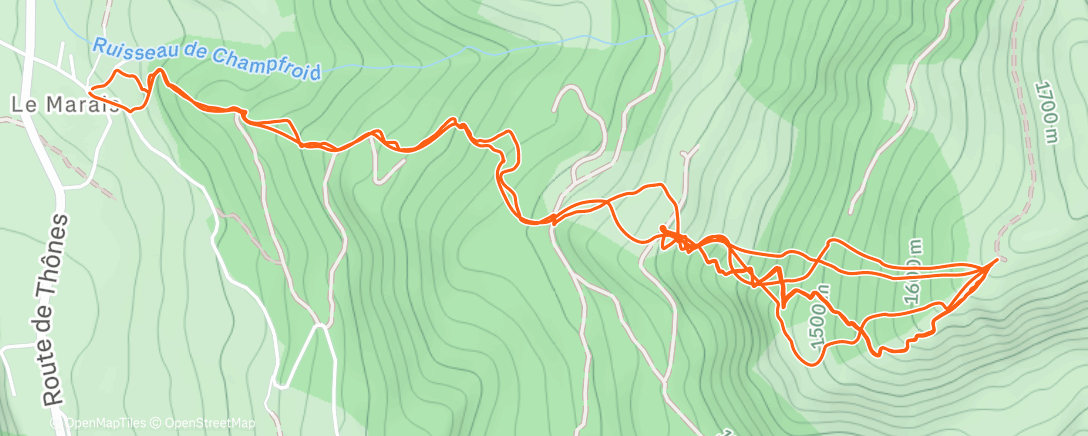 Карта физической активности (Sulens indécent 🫣)