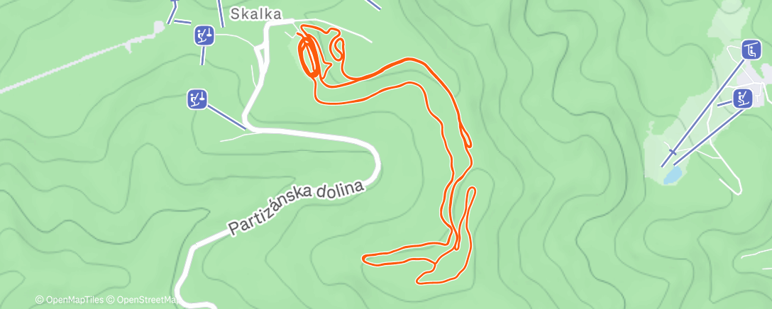 Карта физической активности (Morning Nordic Ski)