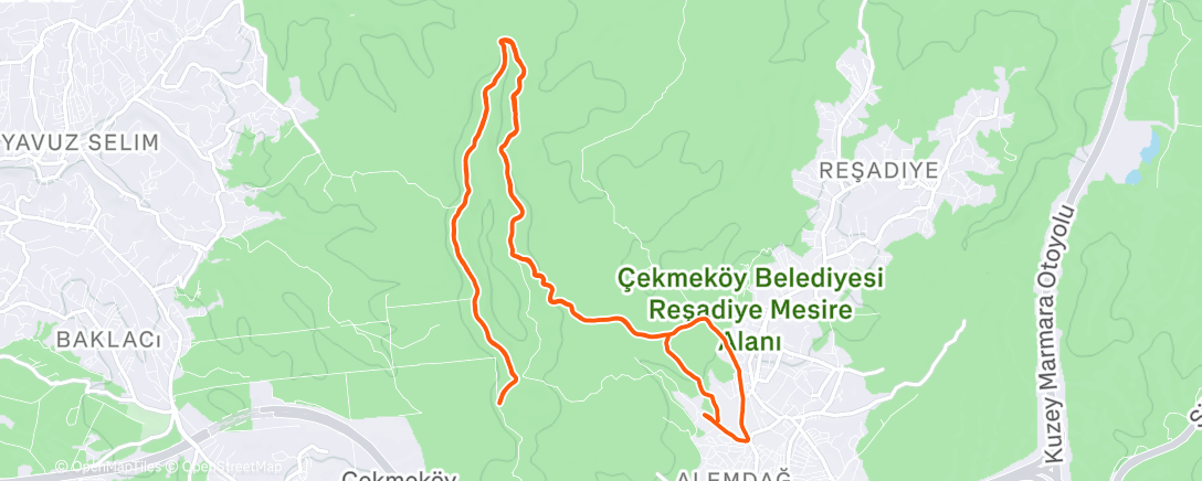 Map of the activity, Morning Run