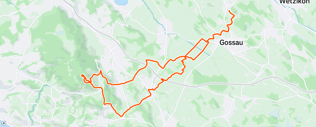 Map of the activity, Pfannenstil
