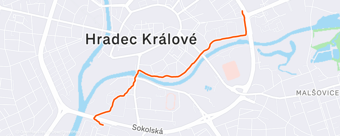 Карта физической активности (Afternoon Walk)