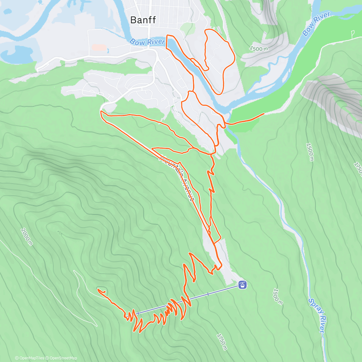 Map of the activity, Mountain Marathon 42.2km 2000+ Uptown 🇨🇦 Welcome 2026 What a great day 🌞 ⛰️ 🏔️  🦝🦝🦝🦝
