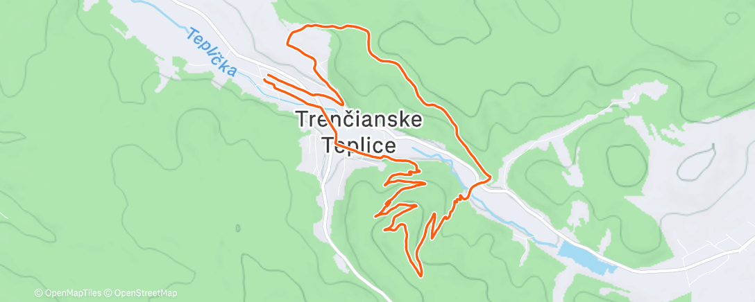 Карта физической активности (Morning Run)