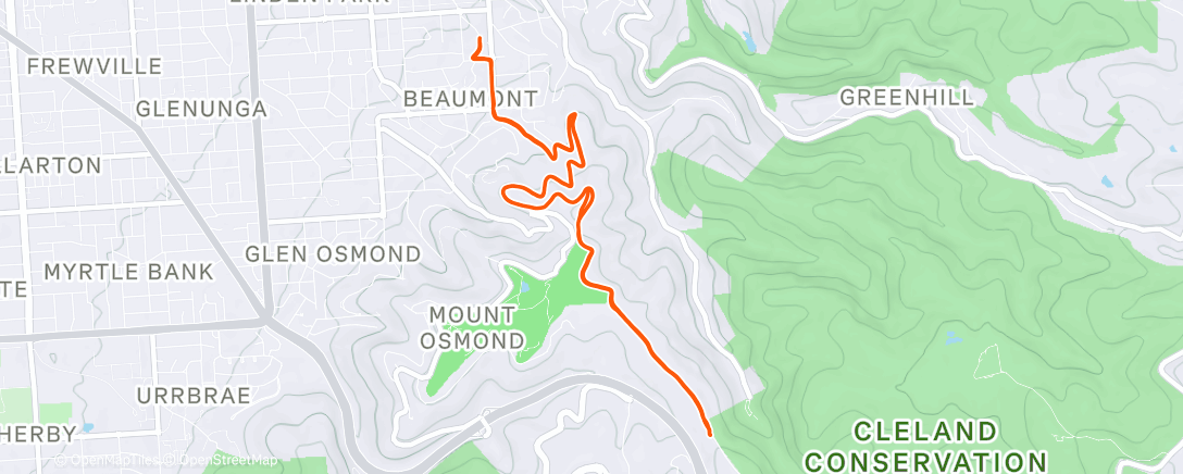 Map of the activity, Morning Trail Run