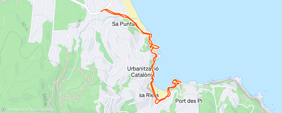 Map of the activity, Morning Run