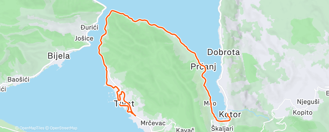 Map of the activity, Утренний забег