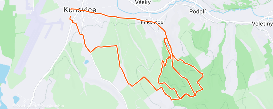 Карта физической активности (Morning Trail Run)