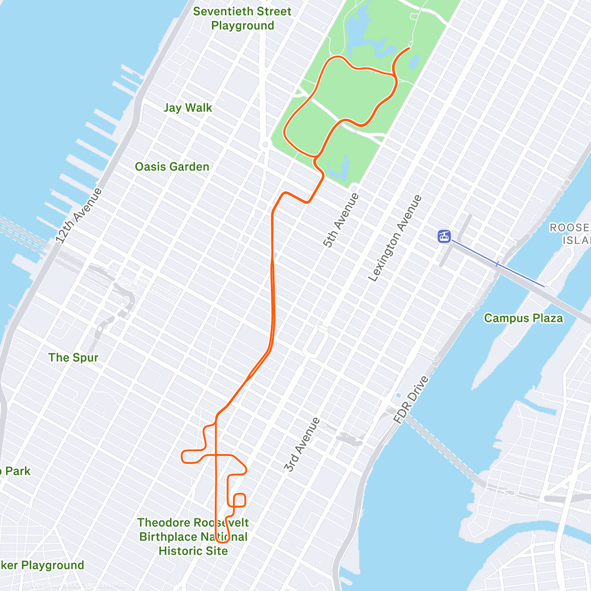 Карта физической активности (CD)