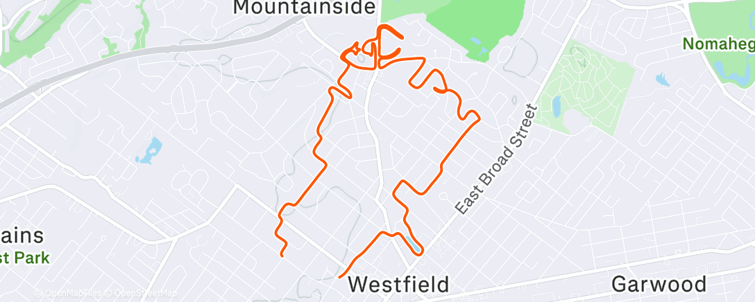 Map of the activity, Afternoon Run