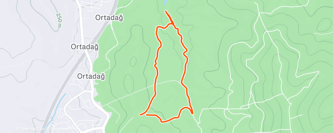 Карта физической активности (Evening Trail Run)