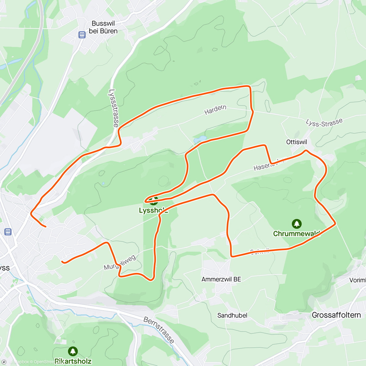 Map of the activity, Lyss, Dreihubelwald