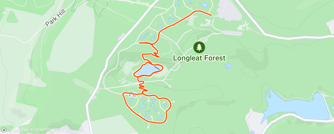 Map of the activity, Morning Run
