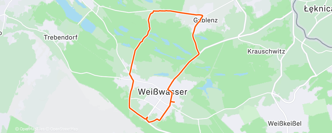 Карта физической активности (Lauf am Morgen)