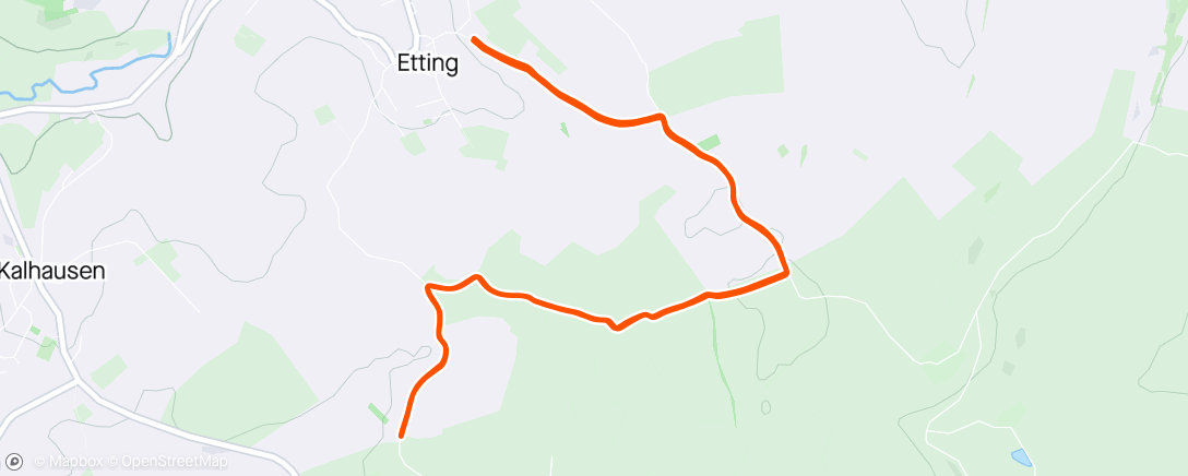 Map of the activity, Morning Run