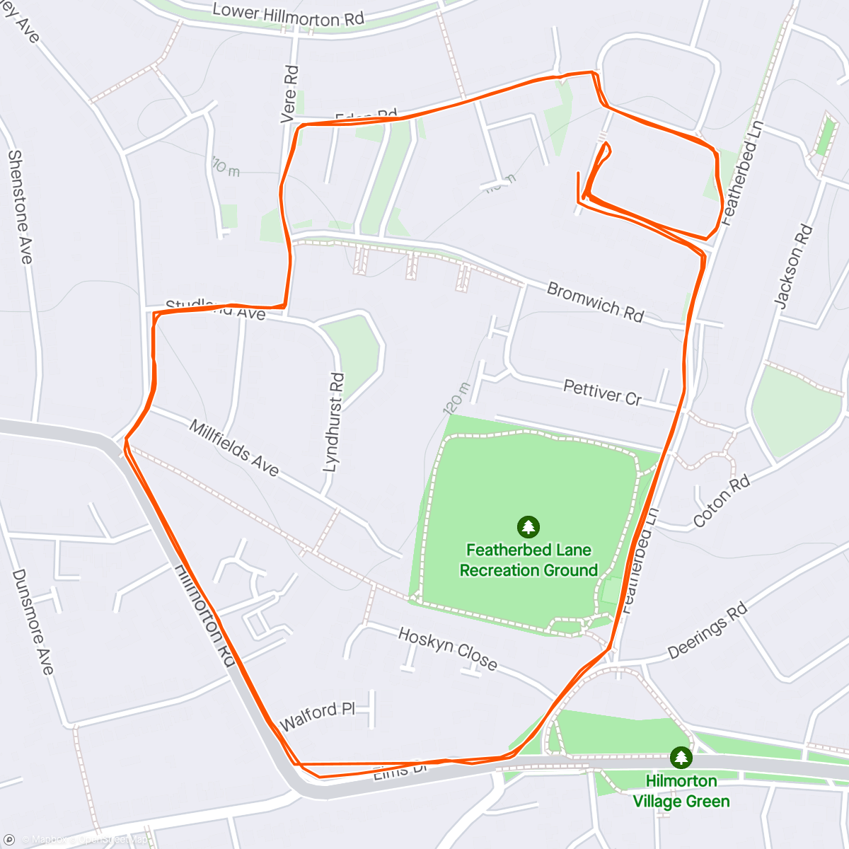 Map of the activity, Doggy run and finally sub 30 min 5km