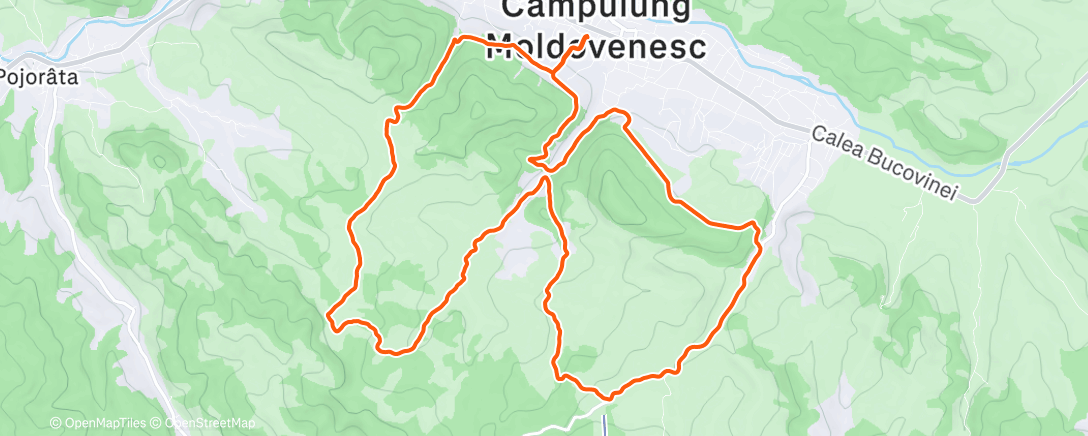 Map of the activity, Morning Trail Run