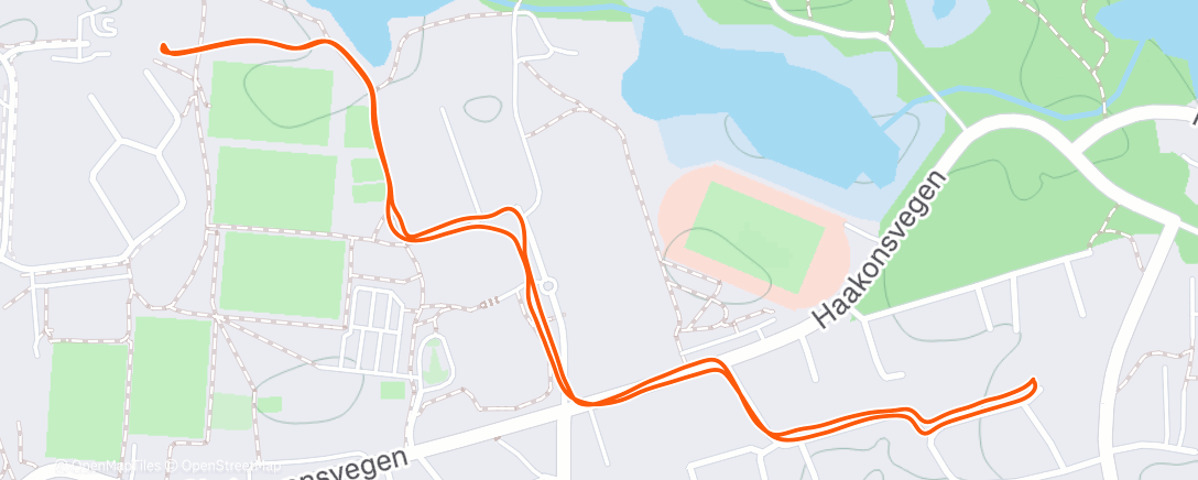 Map of the activity, Evening Run