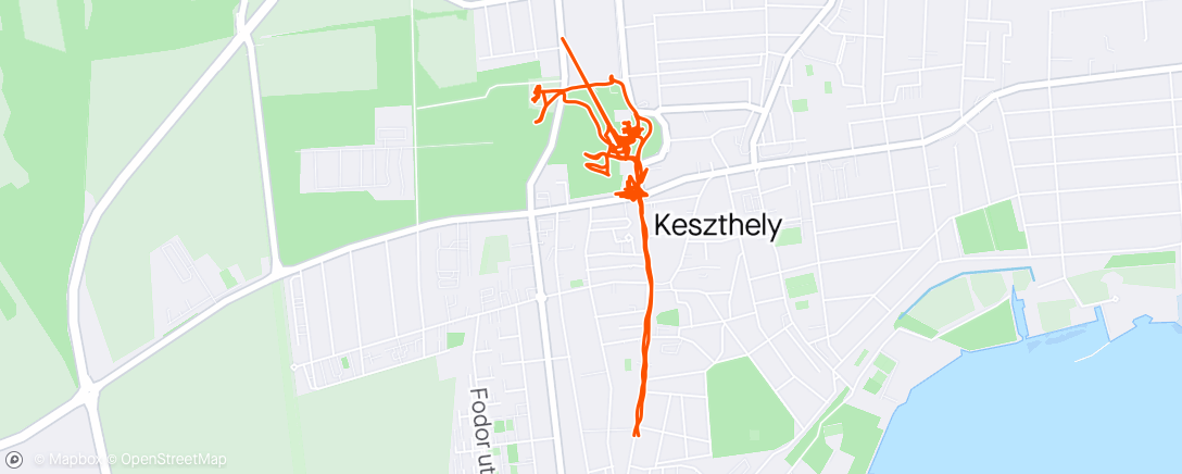 Karte der Aktivität „Keszthely Walk”