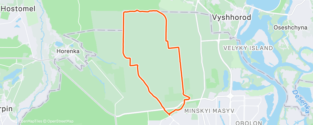 Карта физической активности (Morning Run)