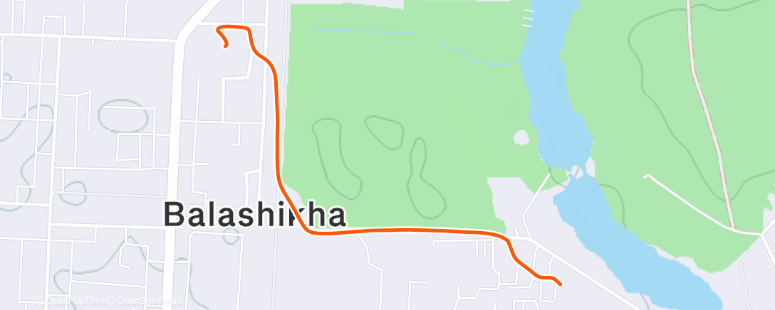 Карта физической активности (Полуденная ходьба)