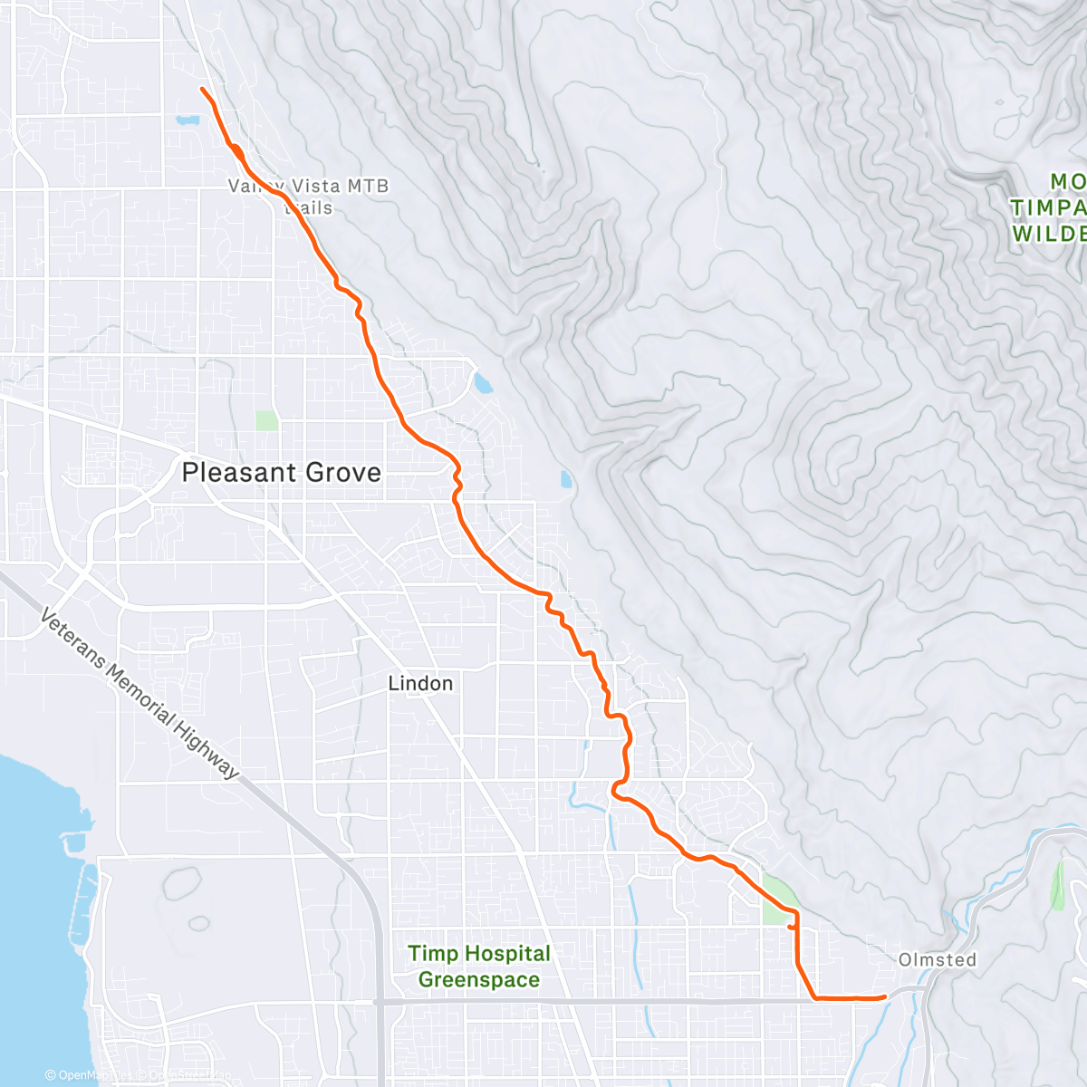Mapa de la actividad (Today I found a spider in my running shoes. He looked so stupid. They were way too big for him.)