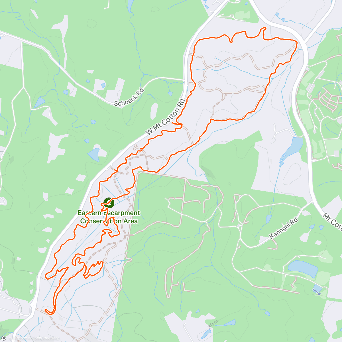 Map of the activity, Leo lands 🌲