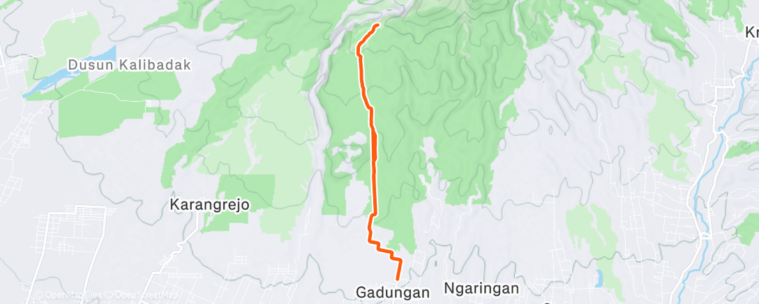 Map of the activity, Morning Trail Run