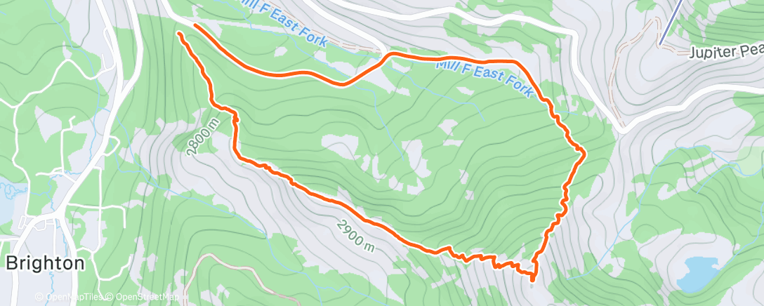 Карта физической активности (Happy New Year!)