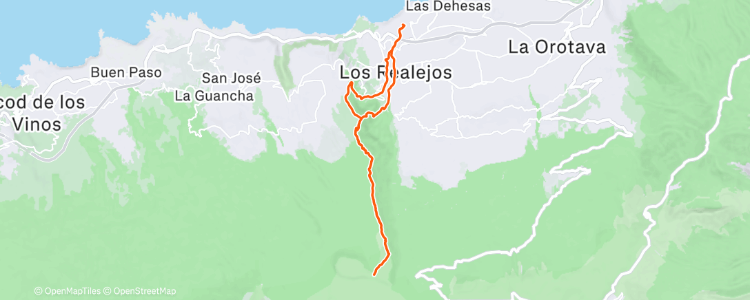 Карта физической активности (Morning Trail Run)