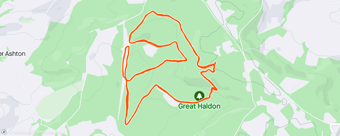 Map of the activity, Haldon forest half marathon