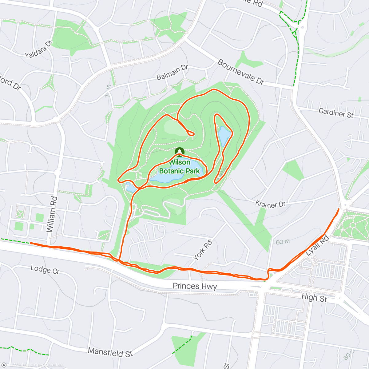 Map of the activity, Sunday 🏃‍♀️ 🏃