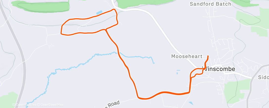 Map of the activity, Morning Trail Run