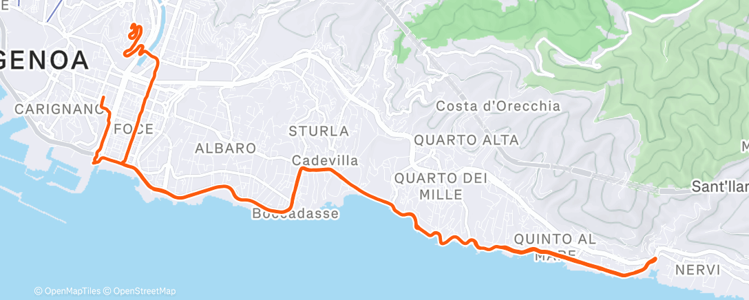 Map of the activity, Morning Run