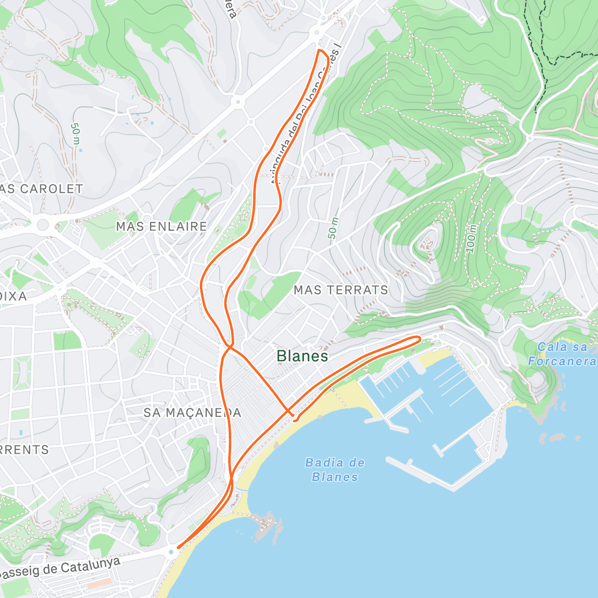 Карта физической активности (Blanes)